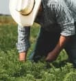 Microcrédito Sistema Alemán - Para fortalecer los emprendimientos y permitir que aumenten su producción a través de la compra, recambio o reposición de insumos y equipos.